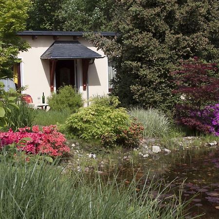 Ferienhaus Und Ferienwohnung "Am Waldsaum" Kurort Gohrisch Ngoại thất bức ảnh